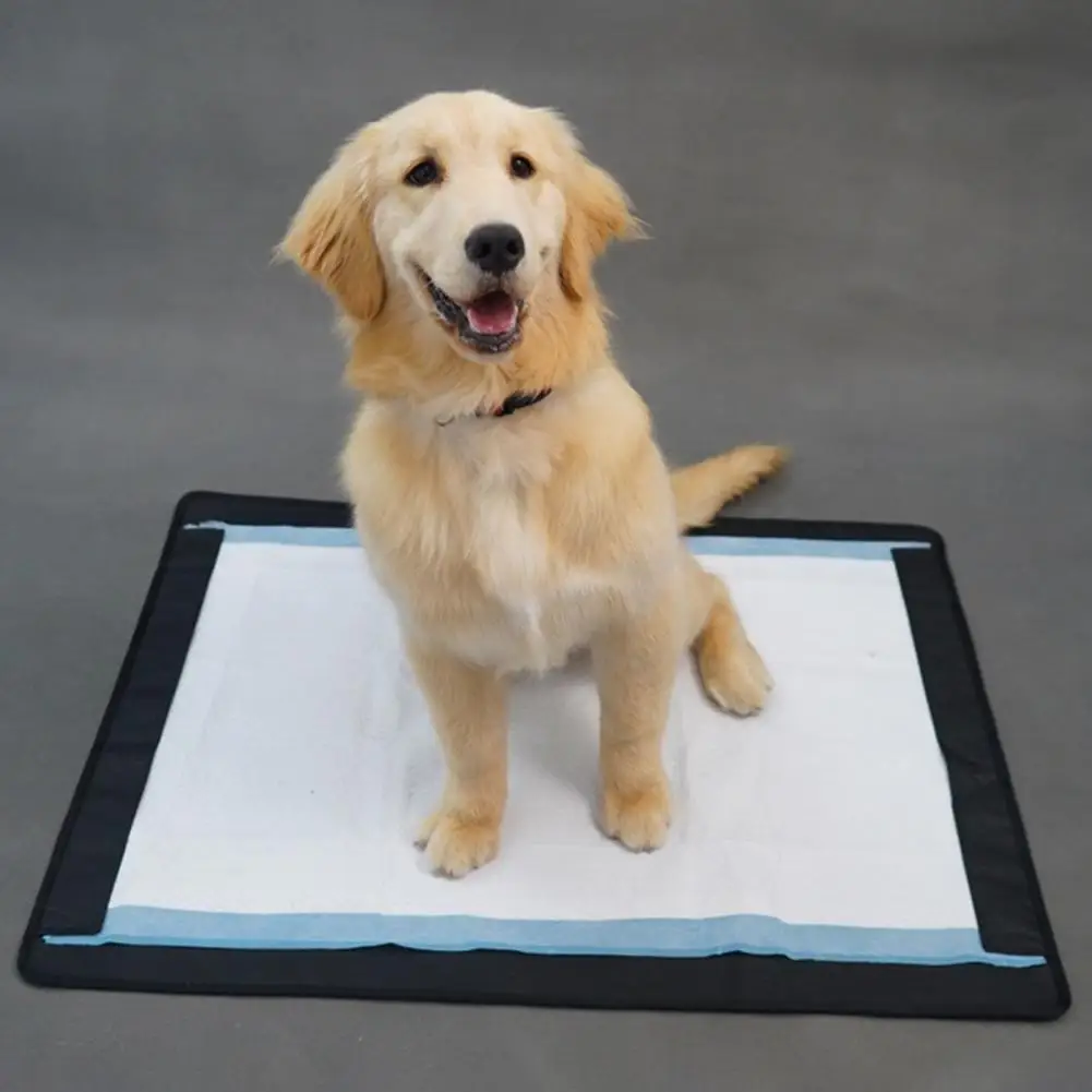 Puppy Training Pad Holder Dog Potty Training Pad Holder with Magnetic Suction High Edge Tray for Easy for Pee for Dogs