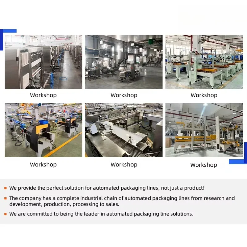 Customized Food Grade Metal Detection System High Sensitivity Conveyor Type Detector For Powder Solid Food Products Inspection