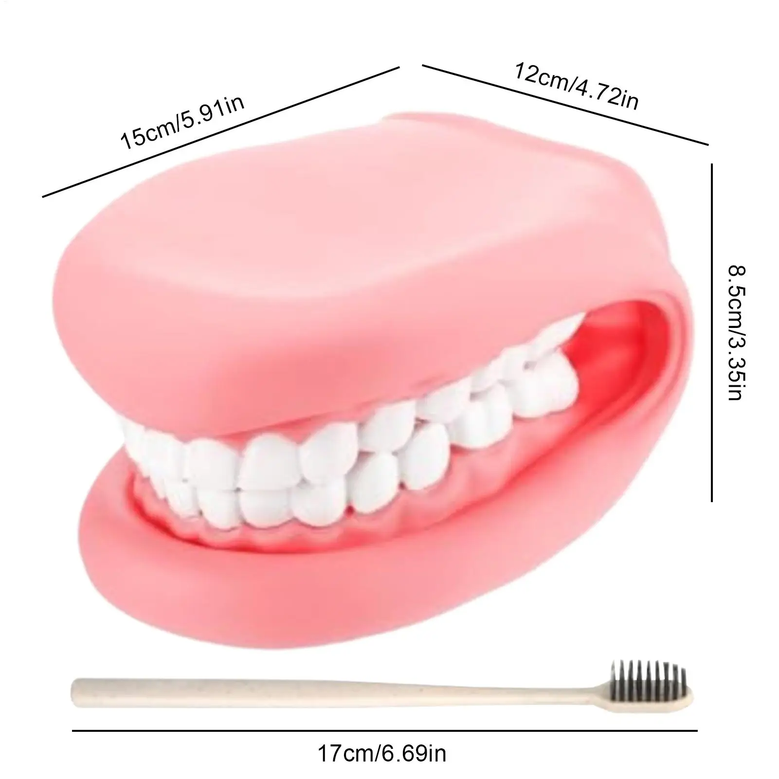 أطفال دمى اليد البلاستيكية المنقولة نموذج طب الأسنان لعبة تعليمية دمية الاصبع للأطفال المنزل السفر مدرسة رياض الأطفال