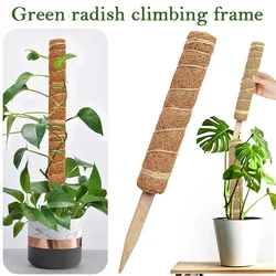 Totem en coco pour plantes grimpantes, bâton de noix de coco pour plantes grimpantes, Support pour plantes grimpantes