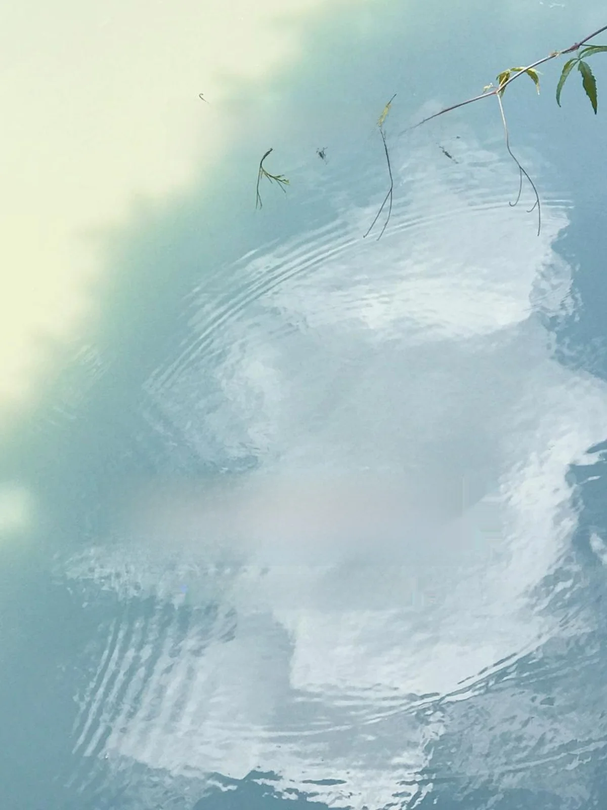 

Special Offer Women's Long Woolen Coat Double-Sided Valuable Outerwear Autumn Winter Faion High Quali Ladies' Coat