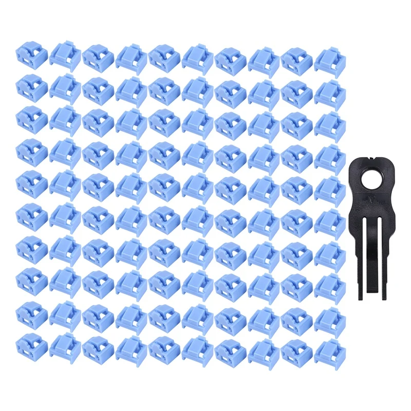 100 Pcs Blue RJ45 Port Ethernet LAN Hub Anti Dust Cover Plug Cap Blockout Protector with Proprietary Lock and Key