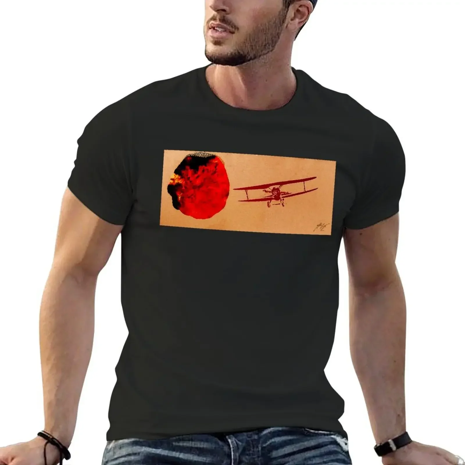 Flying Past an Anomaly T-Shirt quick-drying vintage customs shirts graphic plus size men clothing