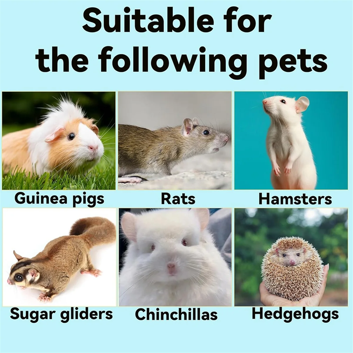 

AT59 2 шт. игрушки для сбора крыс, спиральные длинные крысы из нержавеющей стали, збагащенные игрушки для сбора крыс с подвесной цепочкой, обогащение