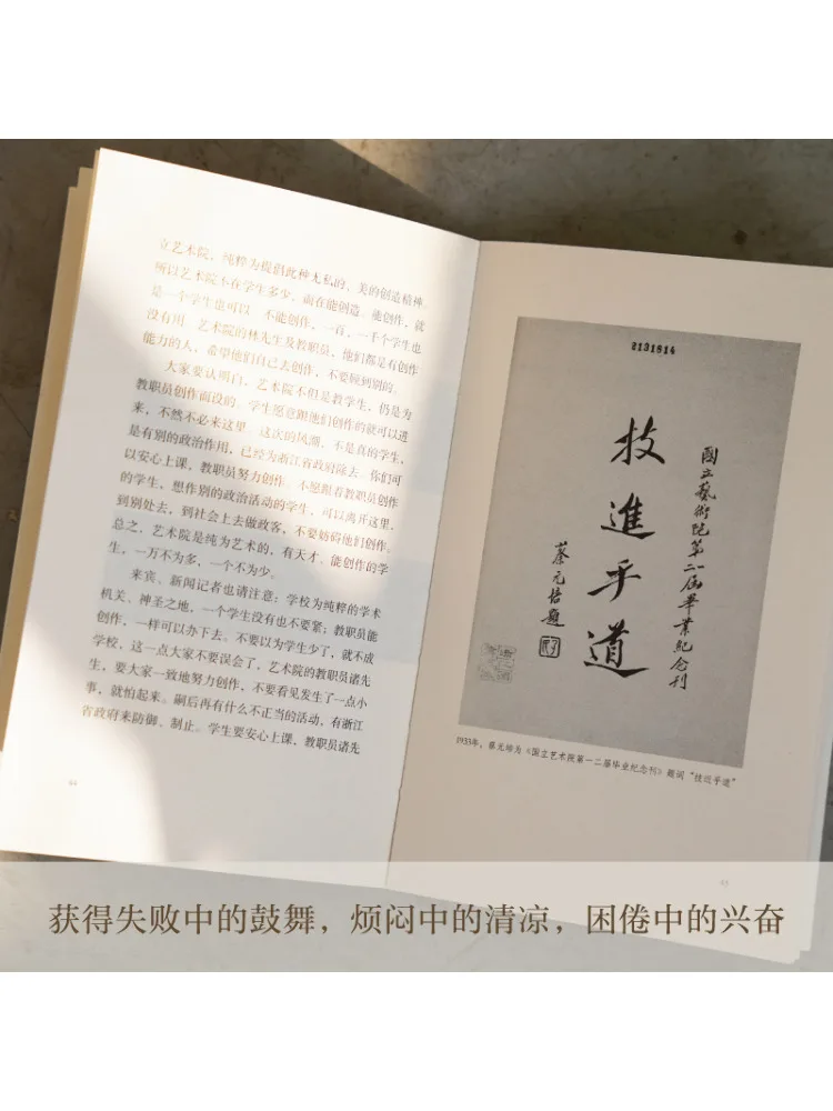 Stile giocoso del libro-Winshare