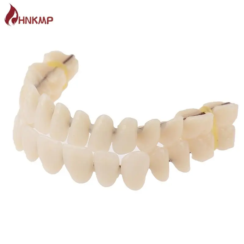1PC Universal Resi False Teeth Resin Model Durable Dentures Dental Material Teeth Teaching Model Dedicated Teeth