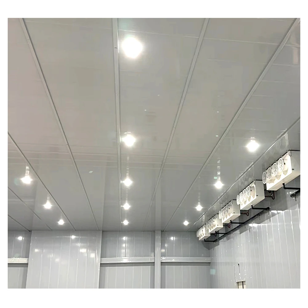 Hot Selling Walk in Refrigeration Cold Storage Energy Saving Cold Storage Room for  Potato Fruit Vegetables