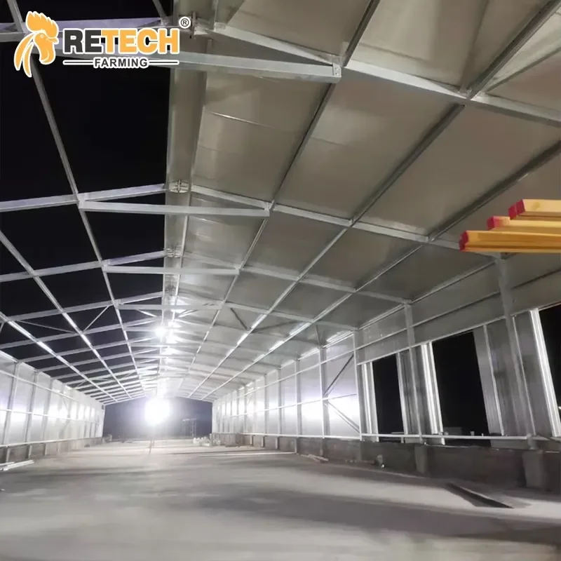 Automatic H Type Broiler Battery Cage Equipment for 30000 Broilers Poultry Building Design with Tunnel Ventilation Cooling