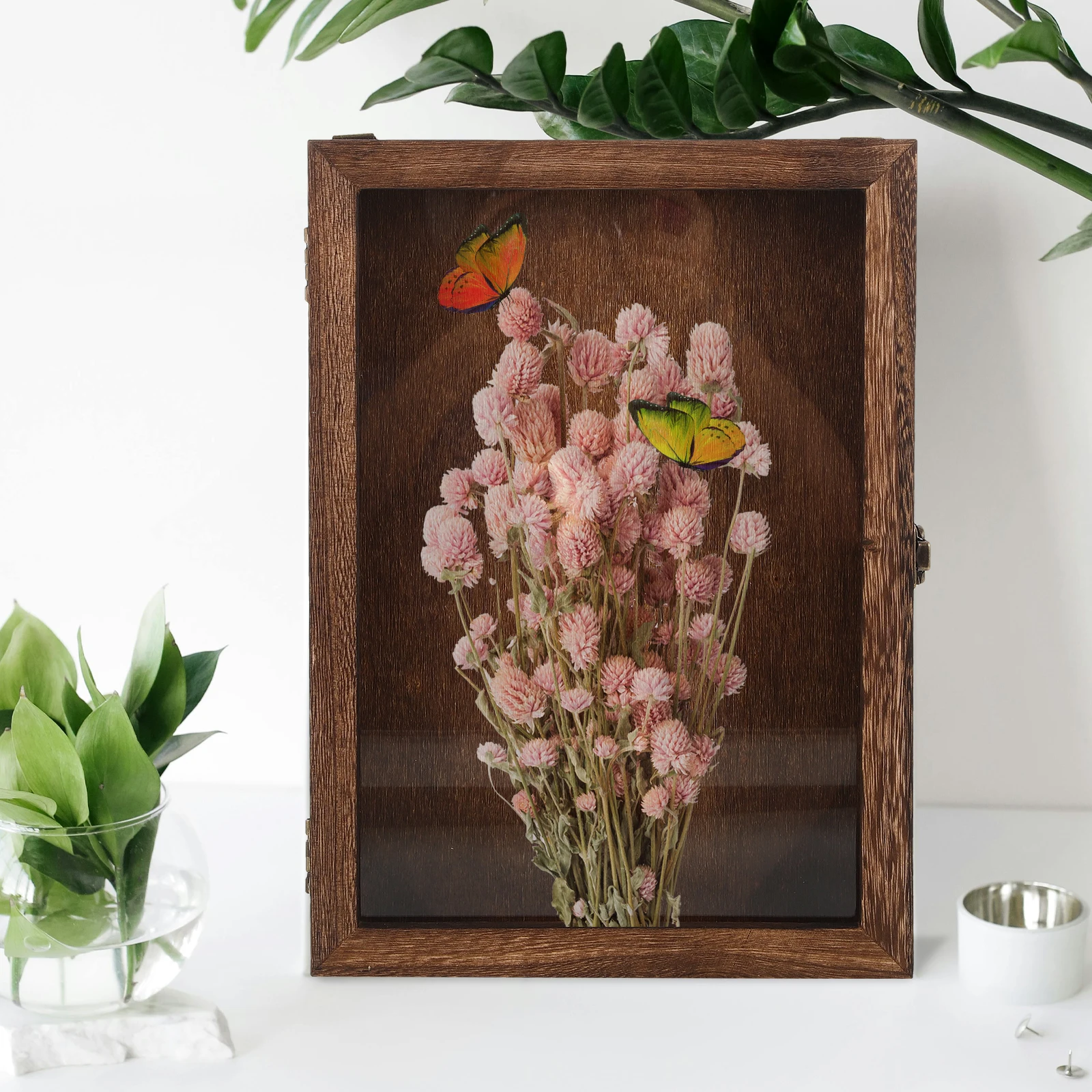 

Insect Display Box Retro Wooden Storage Boxes 31x22x4.5cm Wall Mountable Specimen Case Dried Flower Butterfly Holder