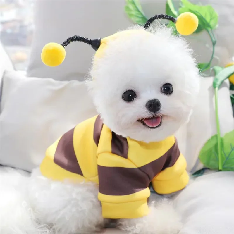 

Soft Dog Cat Fashion Clothes For Autumn And Winter Warm Schnauzer Teddy Small Puppy Cat Pet Hoodie Bee Transformation Suit