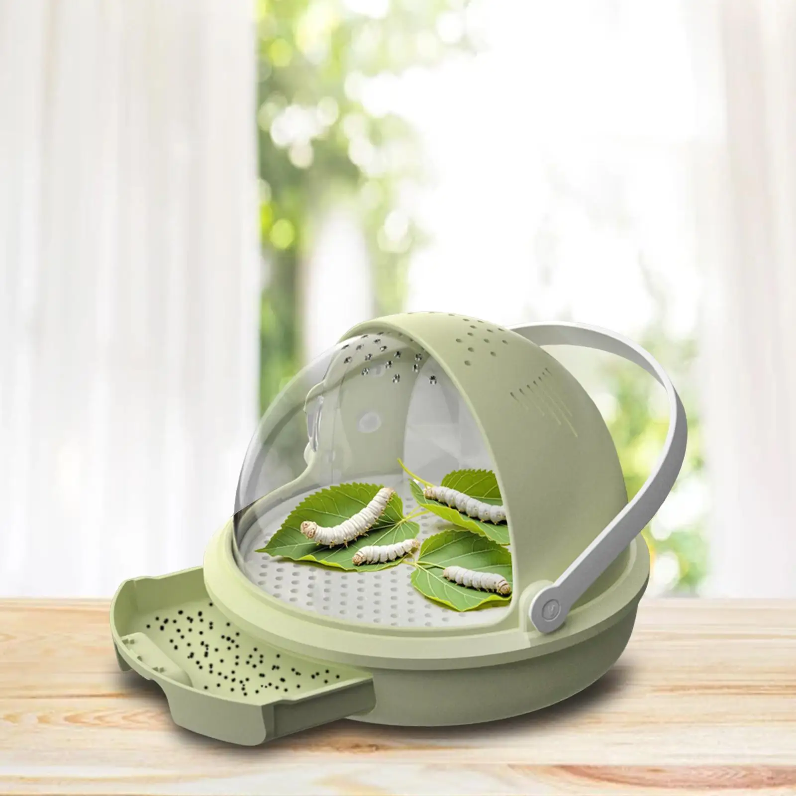 Portable Silkworm Feeding Box Clear Small Animal Growth Chamber Hatching Cage for Classroom Projects