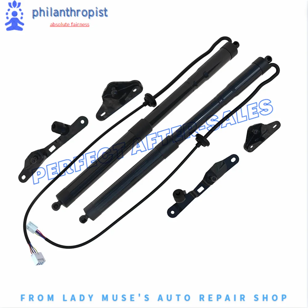 

Left/Right/1 Pair 6892009010 6891009010 Auto parts Tailgate Lift Support Electric Tailgate Gas strut For Toyota RAV4 2013 -2018