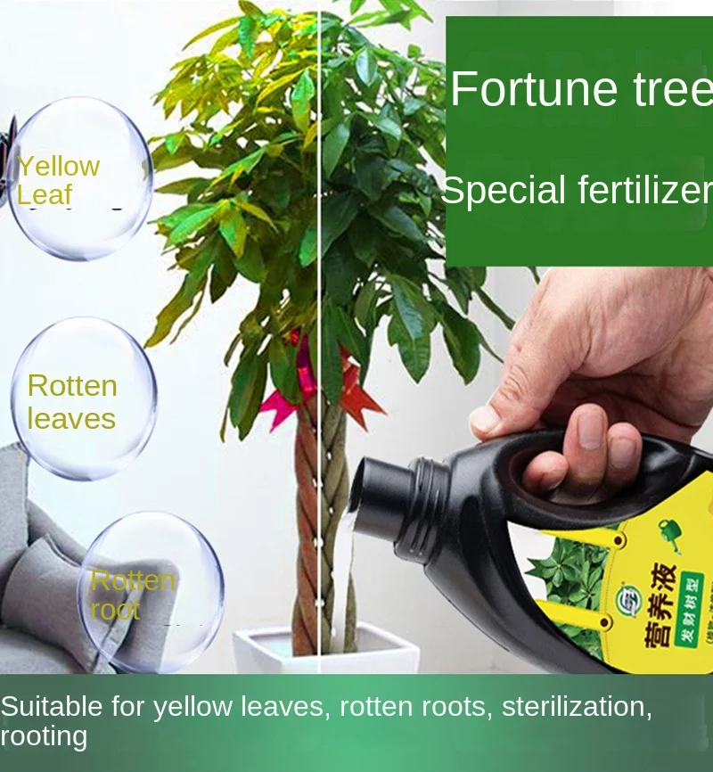 

Fortune tree nutrient solution 500ml potted flower fertilizer household money tree