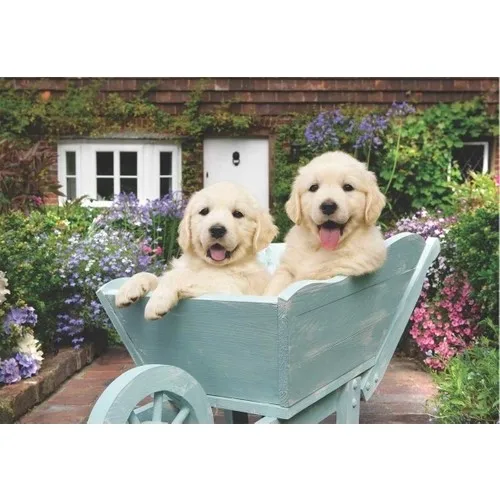 

Anatolian Gardener Dogs-260 Piece Jigsaw Puzzle