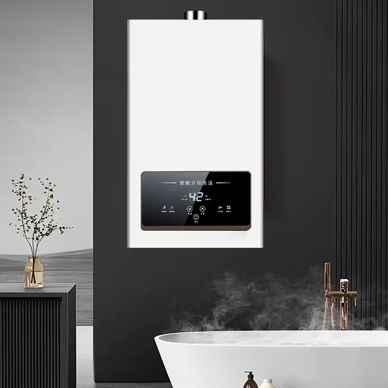 for Best Price 8-16L Natural Gas Thermostatic Smart Water Heater for Outdoor Use in Family RVs New Arrivals