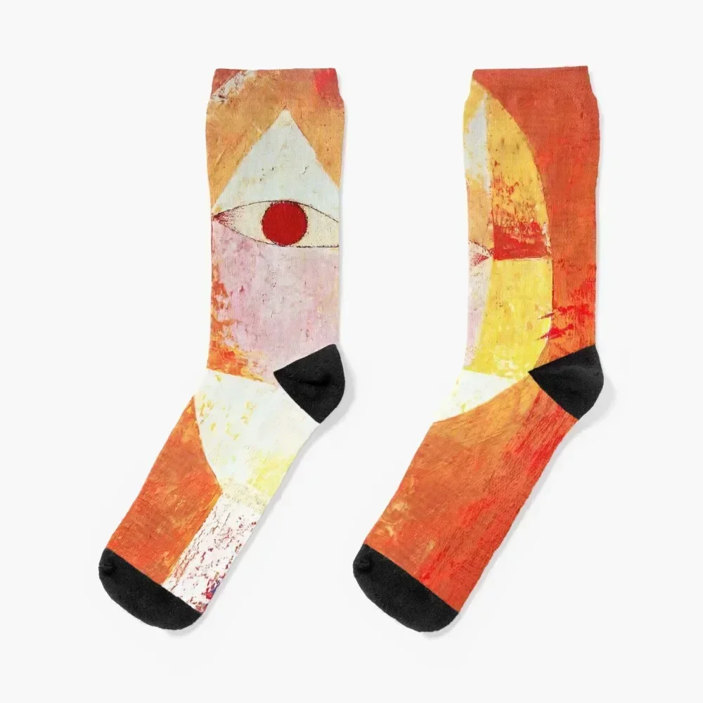 Senecio Socks aesthetic funny gift sheer japanese fashion Designer Man Socks Women's
