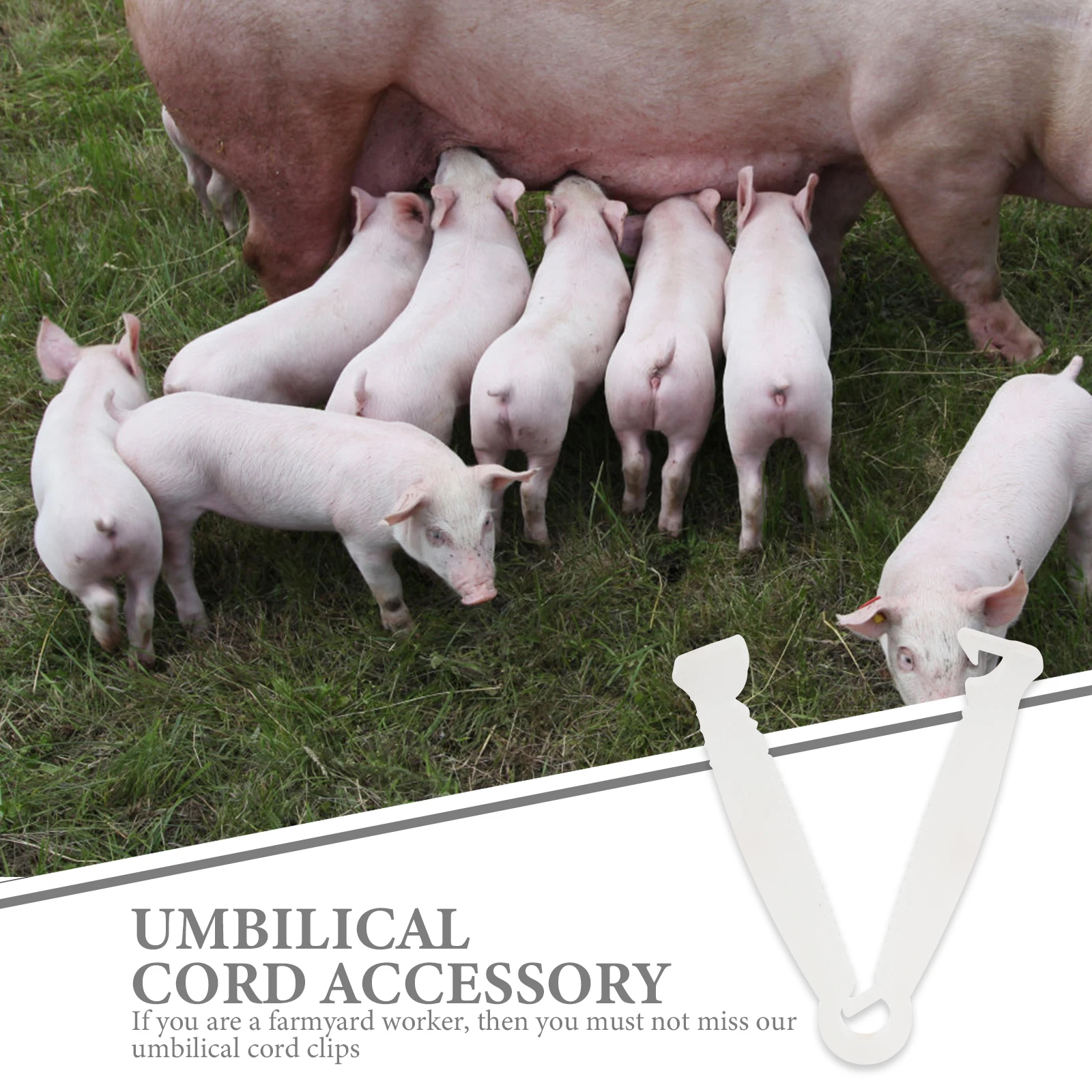 

100pcs Umbilical Cord Clamps Portable Plastic Livestock Clamp Anti-Slip Design For Newborn Lamb Pig Foal Household Pet Care