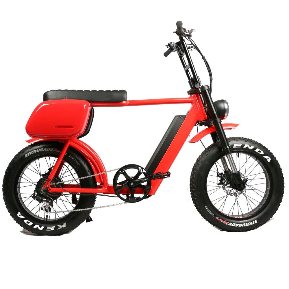 Full Suspension Electric Bike Aluminum Alloy Frame City E Bike 48v 1000w E Bike Fat Tire Conversion Kit with Side Boxes view 2