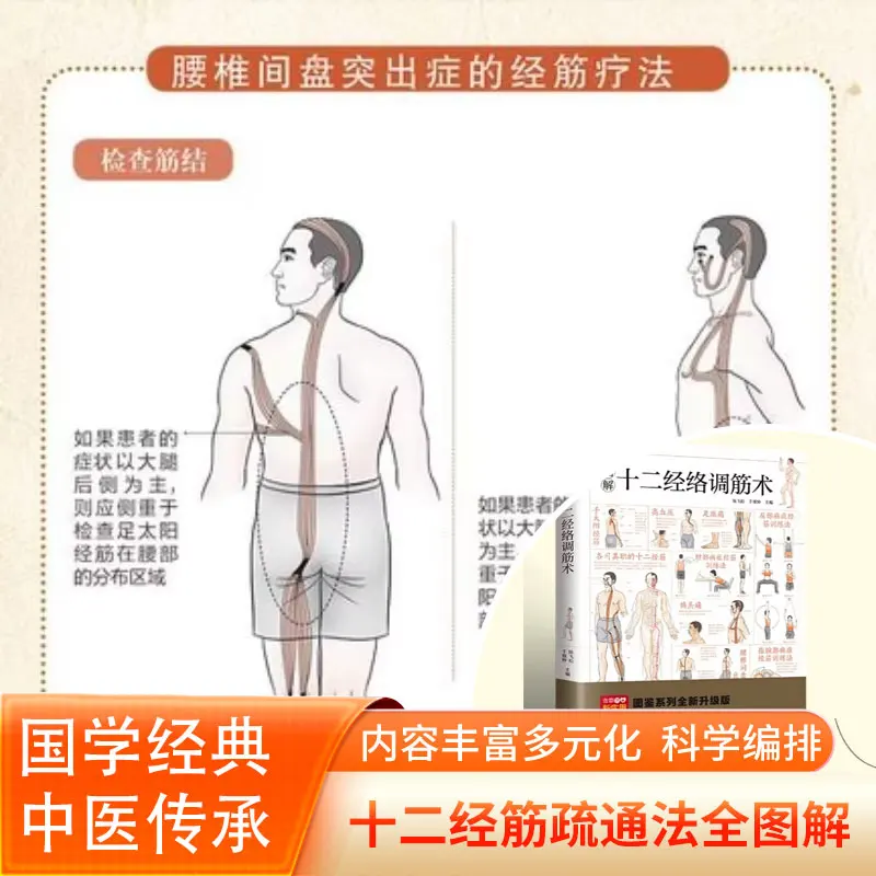 Illustrated Atlas of Twelve Meridians and Tendon Conditioning, Acupuncture Massage Health Prescriptions Book