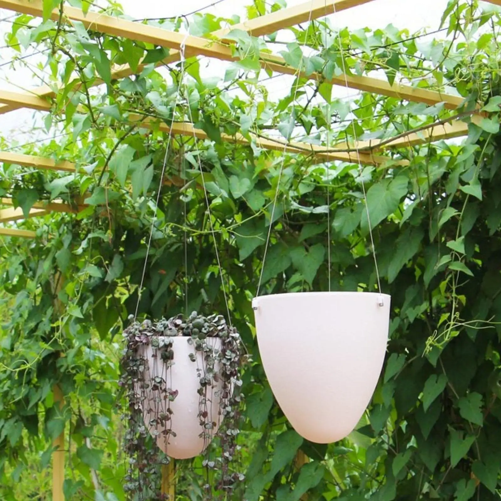 Modern Hanging Plant Pot Self Watering Flower Basket Plastic Eggshell Style Planter for Balcony Railing Indoor Outdoor Garden