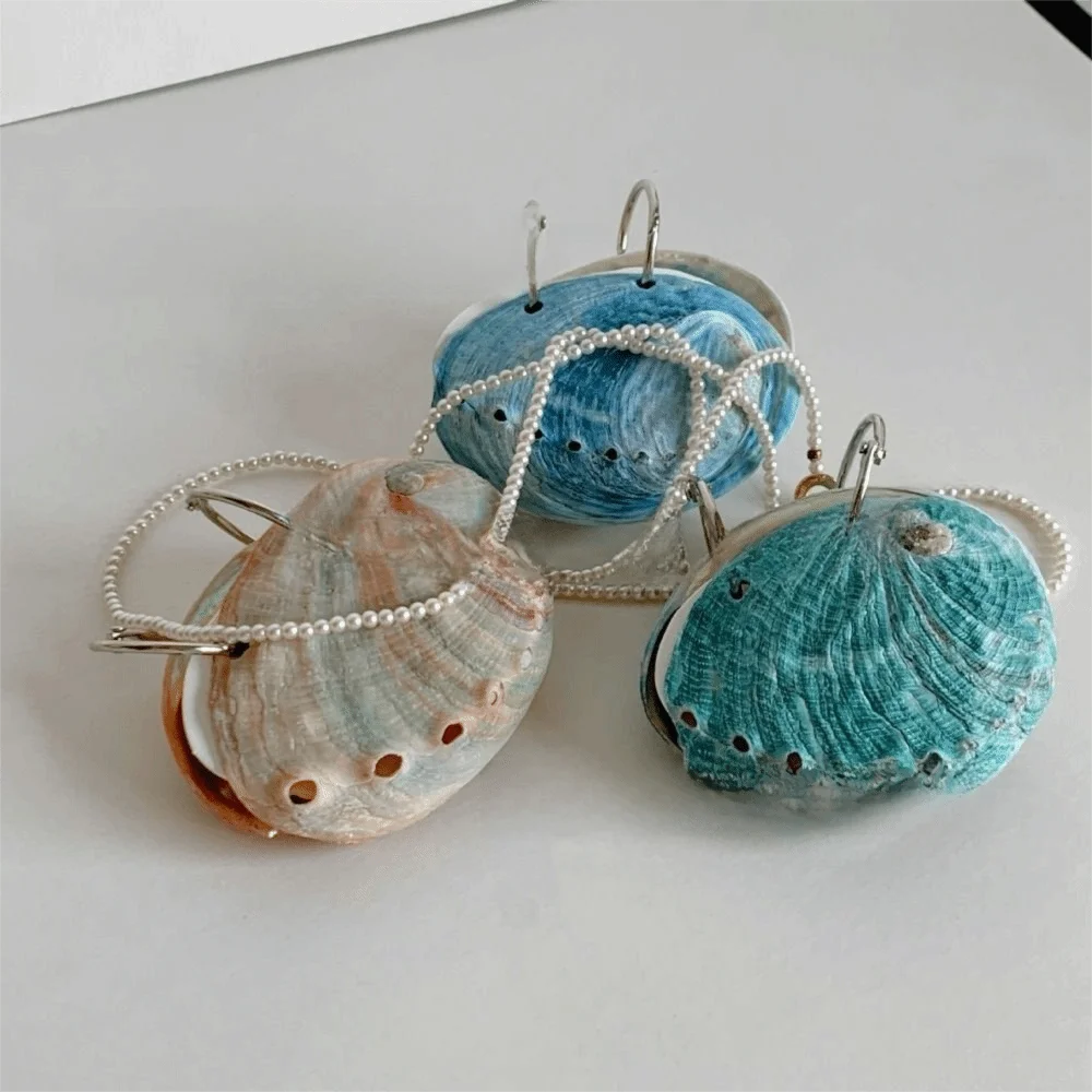 Natural Shell Abalone Shell Notebook Lightweight Smooth Pages Natural Seashell Notebook Mini Compact Gradient Color