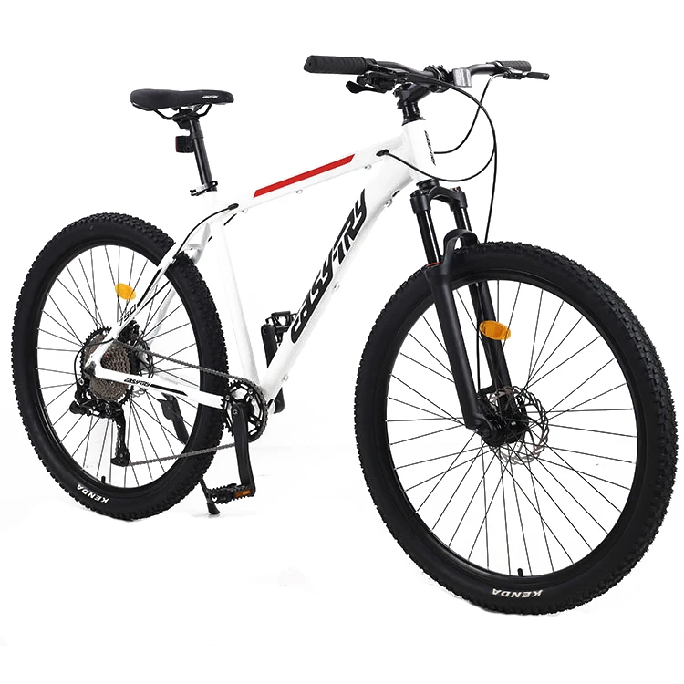 Wholesale 21 Speed Bicicletas Mountain Bike 29 Mtb Mountainbike 29 Inch Aluminum Alloy Mountain Bikes