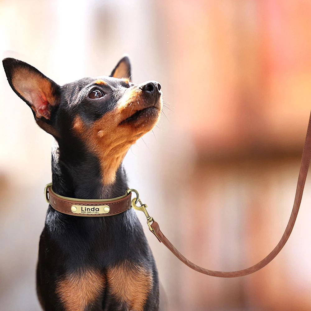 150cm Long Soft PU Leather Padded Dog Leash, Comfortable Pet Walking Training Lead with Handle, Rope for Small Medium Large Dogs view 4