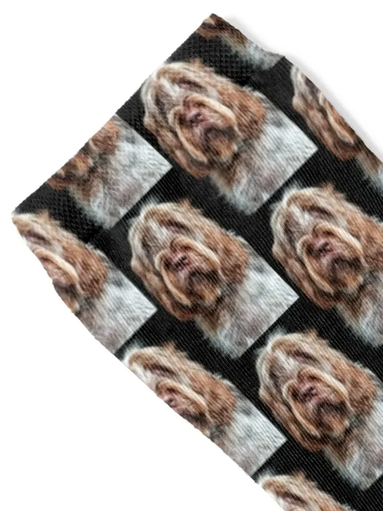 جوارب Hypnotist Spinone جوارب رياضية للهوكي جوارب رياضية للبنات للرجال #2