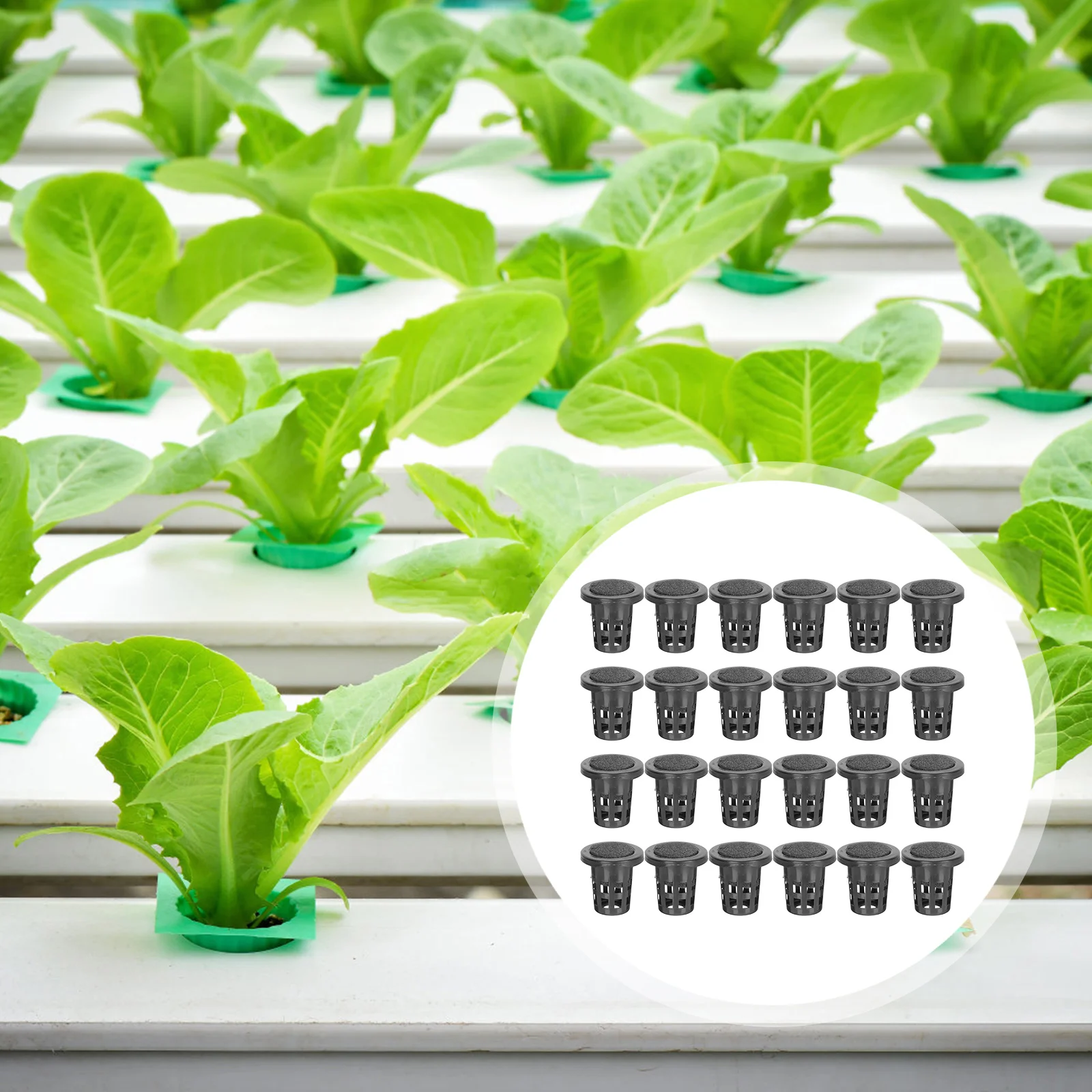 

100 Pcs Hydroponic Cultivation Baskets Planting Cotton Set Black Plastic Garden Net Cups Soilless Planting Supplies