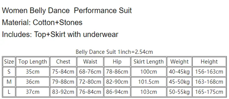 Belly Dance Practice Clothes for Women Belly Dancing Palace Style Long Sleeves Top+skirt 2pcs Female Oriental Performance Outfit