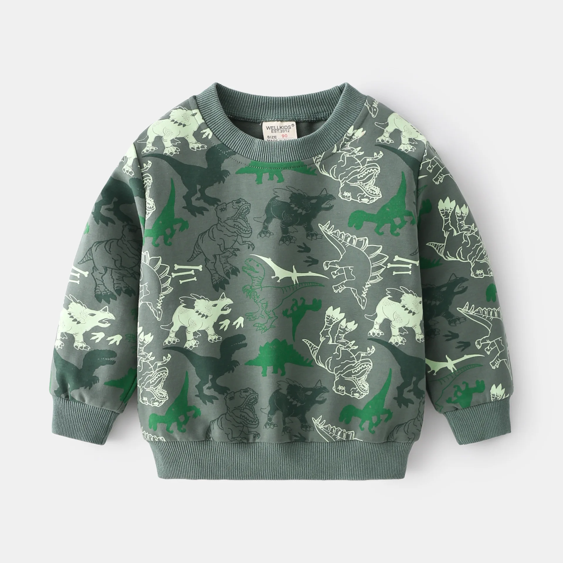 Camouflage Green Pullover Long Sleeve Fashion Casual Boys Dinosaur Print Sweatshirt