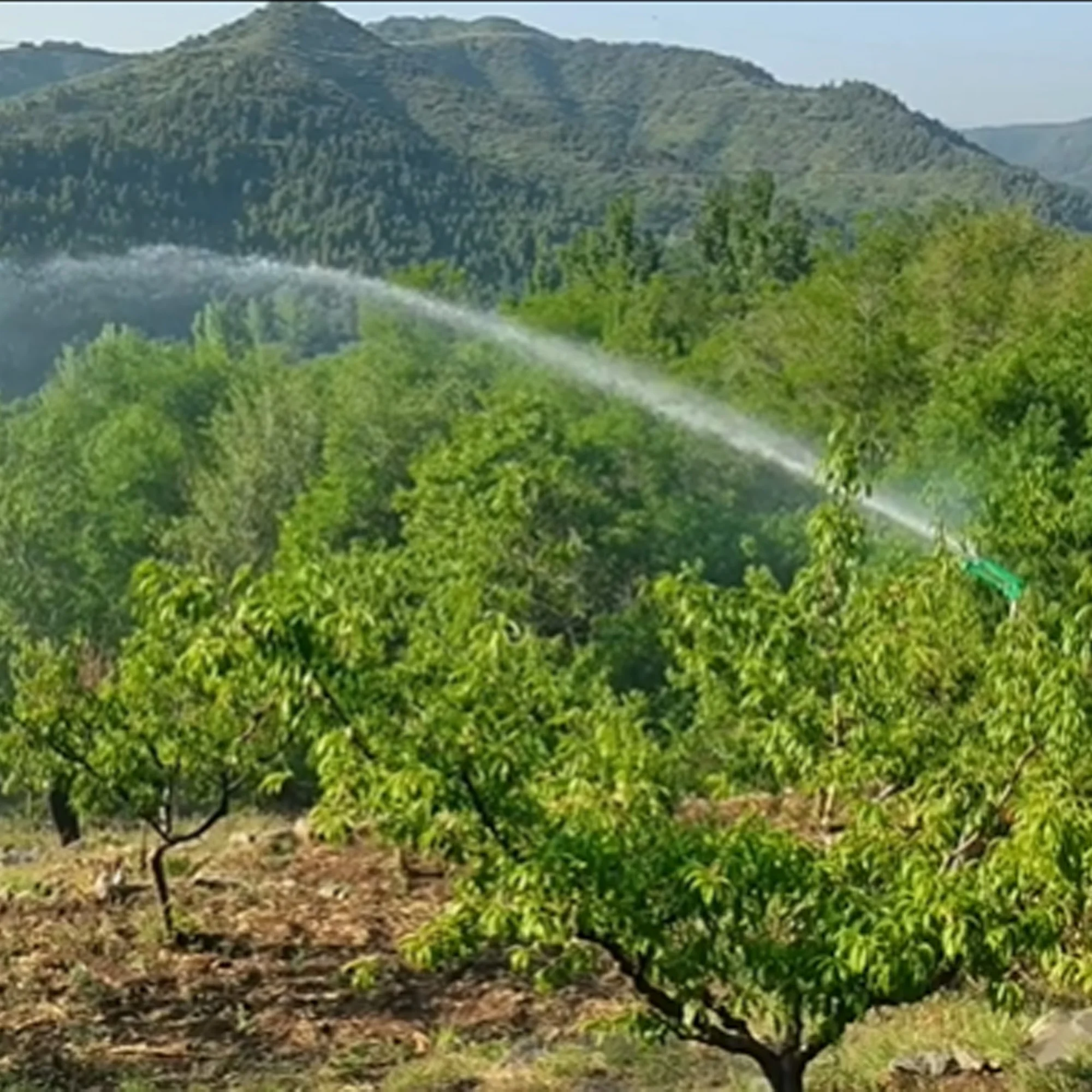 Long Range Rain Gun Sprinkler 22-41m Spraying Radius 1.5 Inch Irrigation Spray Gun for Farmland Irrigation System