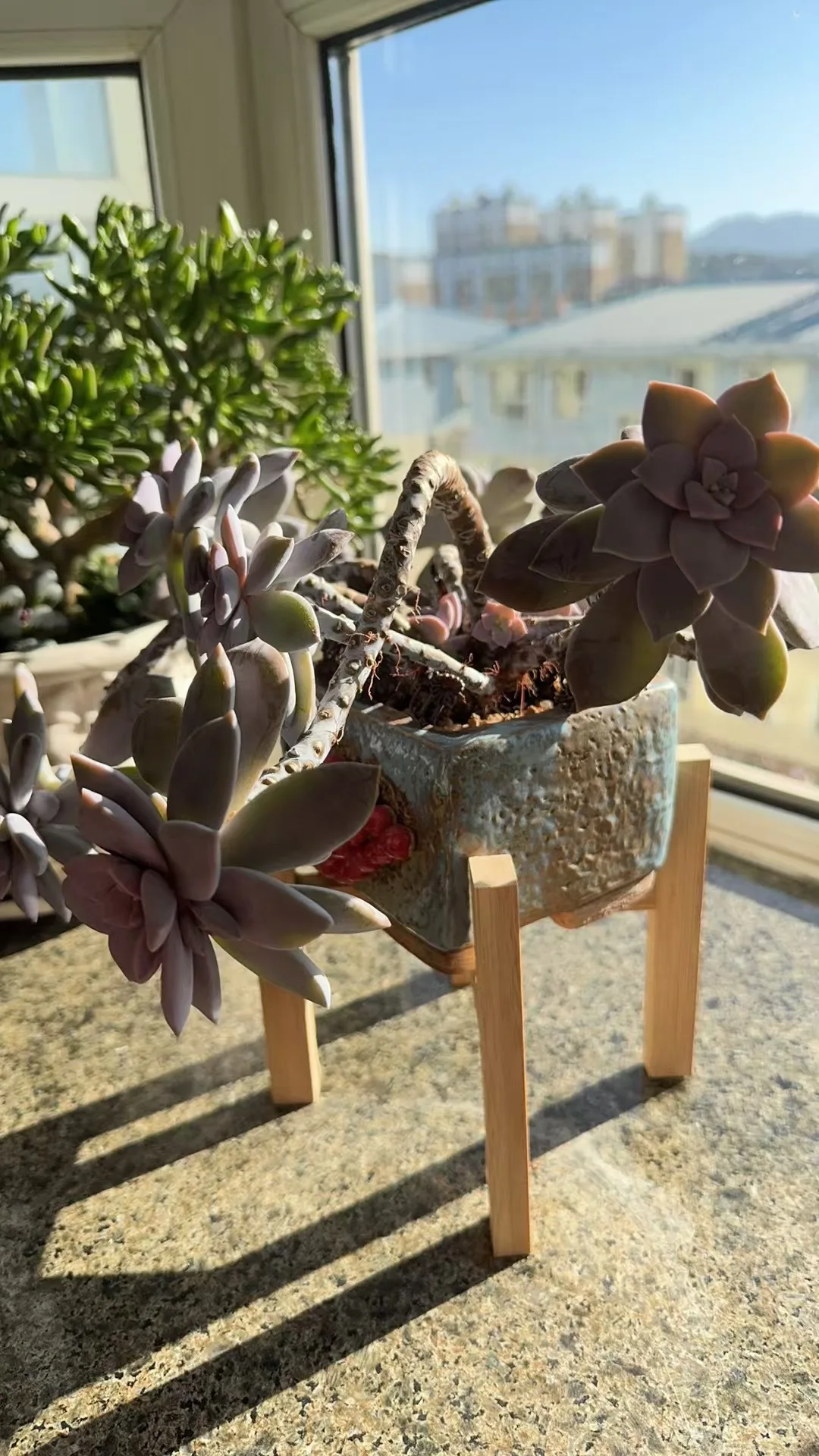 Natural Bamboo Plant Stand, 4-Legged Cross-Shaped Flower Pot Holder, Sturdy Plant Shelf for Indoor & Outdoor Use view 3