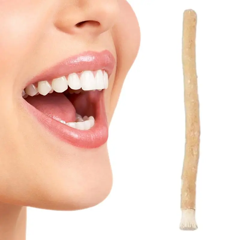 Miswak Stick Fresh Natural Tootbrushes Misvak Arak Siwak Tradational Healthy Natural Tooth Scrub Brightener for Oral Health