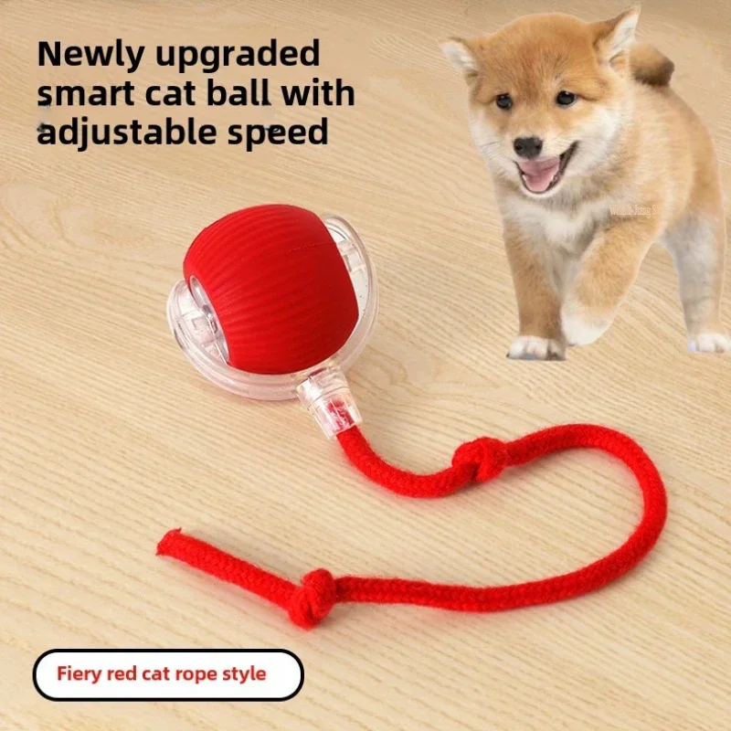 Automatic Rolling False Tail Ball Dog Accessories Cat Supplies Rechargeable Smart Pet Electric Toys Cat and Dog Items Home Cats