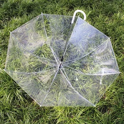 Transparent Umbrella Household Long Handle Umbrella Colorful Internet Celebrity Fresh Lovely Wind Resistance Travel Sun Umbrella