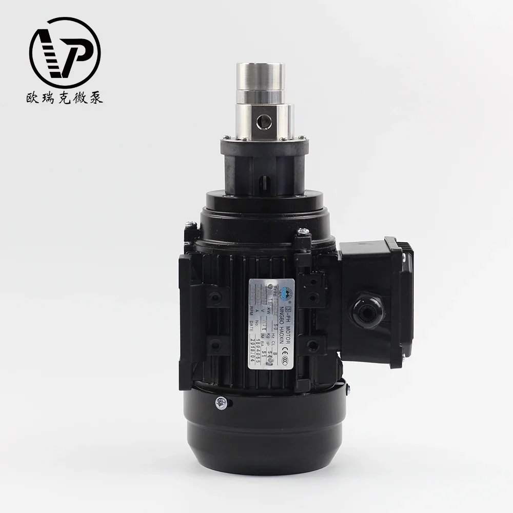 High Pressure 220v AC Magnetic Drive Gear Pump for Packing Machine Transfer High Temperature Mini Gear Pump