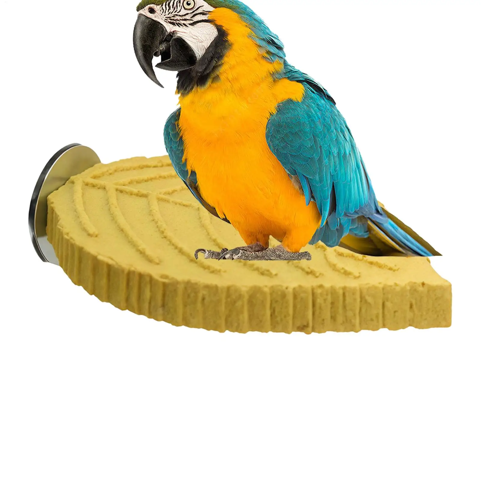 Thumbnail 4 - #2 Bird Perch Stands Comparison Guide