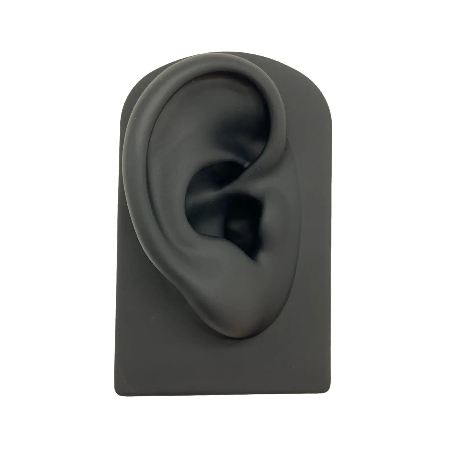 Ear Model Props Silicone Artificial Model Exercises Study Office Headset Display Props