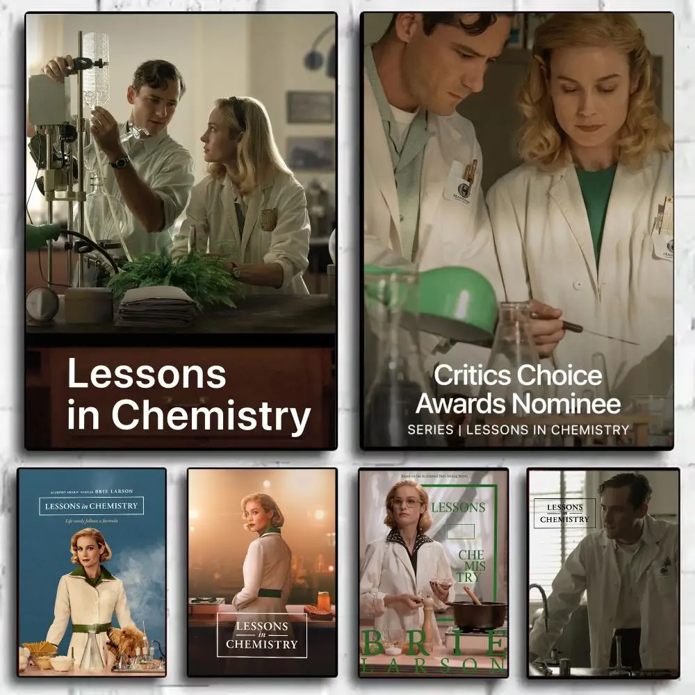 Movie L-Lessons in Chemistry Poster Modern  Wall Art Aesthetic Minimalist Bedroom Decor Cafe Home Gift