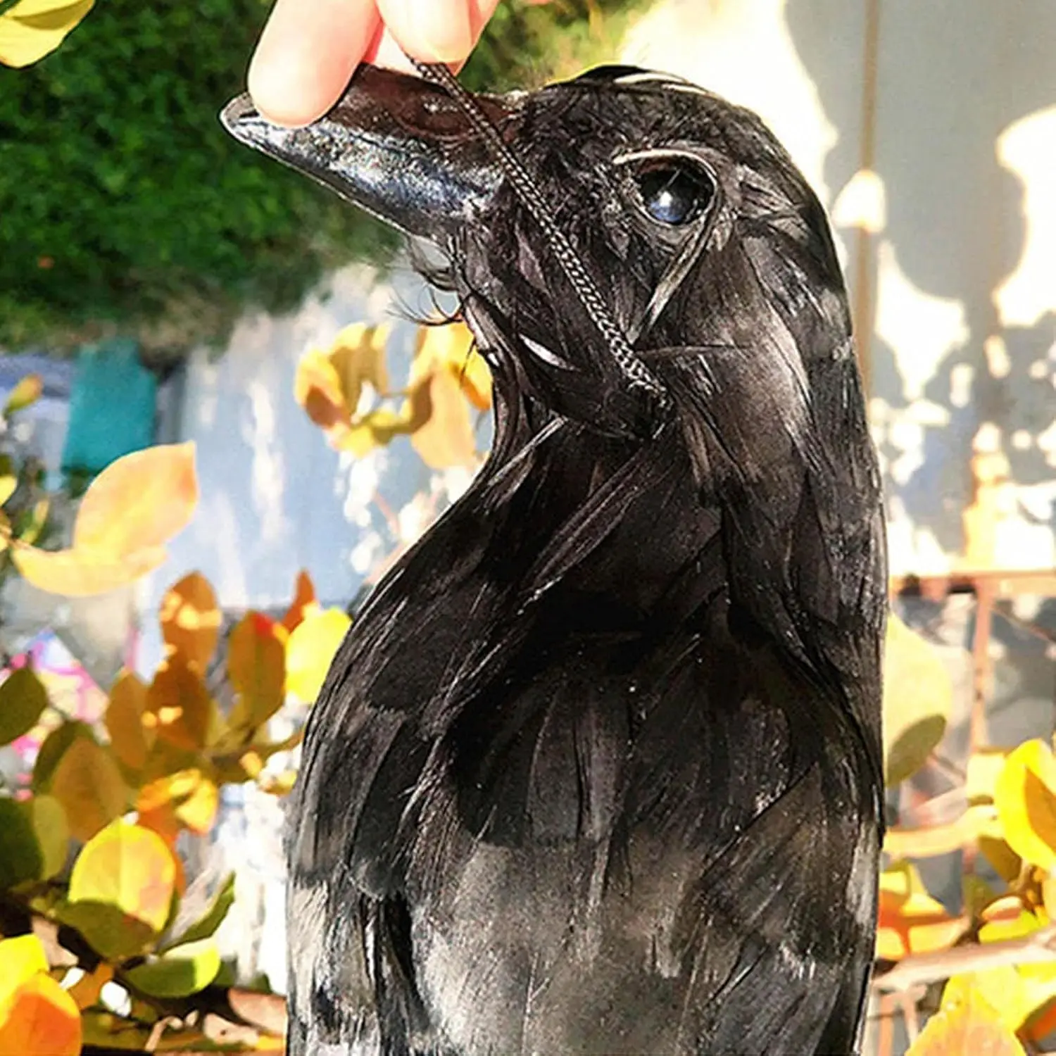Realistic Hanging Dead Crow Decoy Black Feathered Bird Ornament Outdoor Garden Repeller Halloween Scary Decor Prop