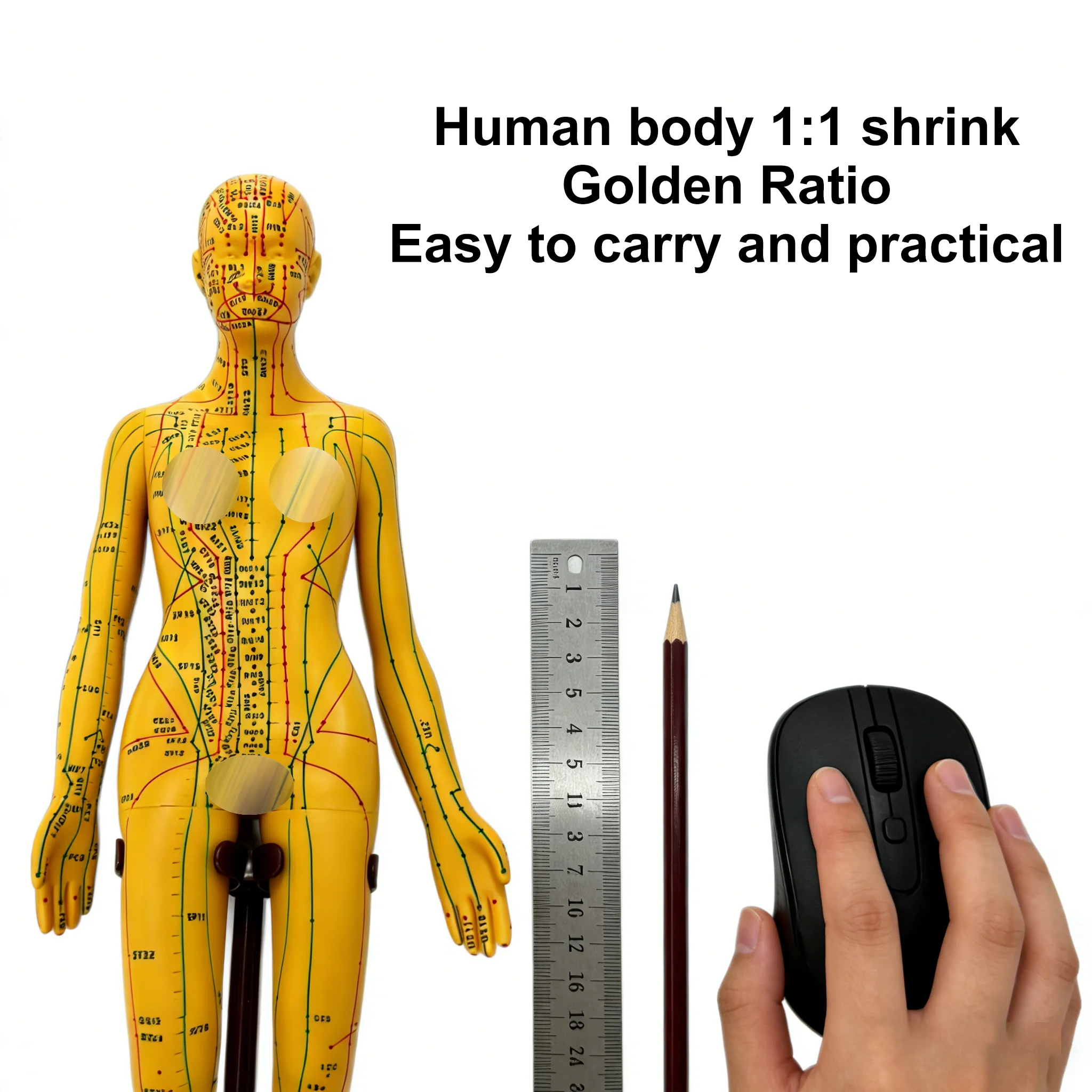 Thumbnail 3 - #11 Best Acupuncture Models to Buy In 2026
