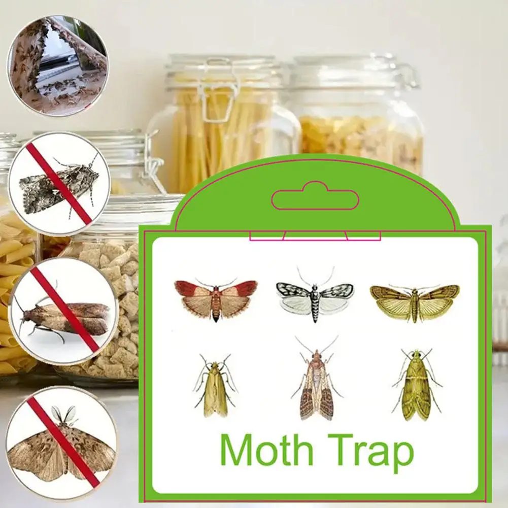 1pc Pantry Clothes Moth Trap Pheromone Moth Traps Fly Control Moth Garden Kitchen Sticky Pest Food Home Traps Dropshipping F7G9