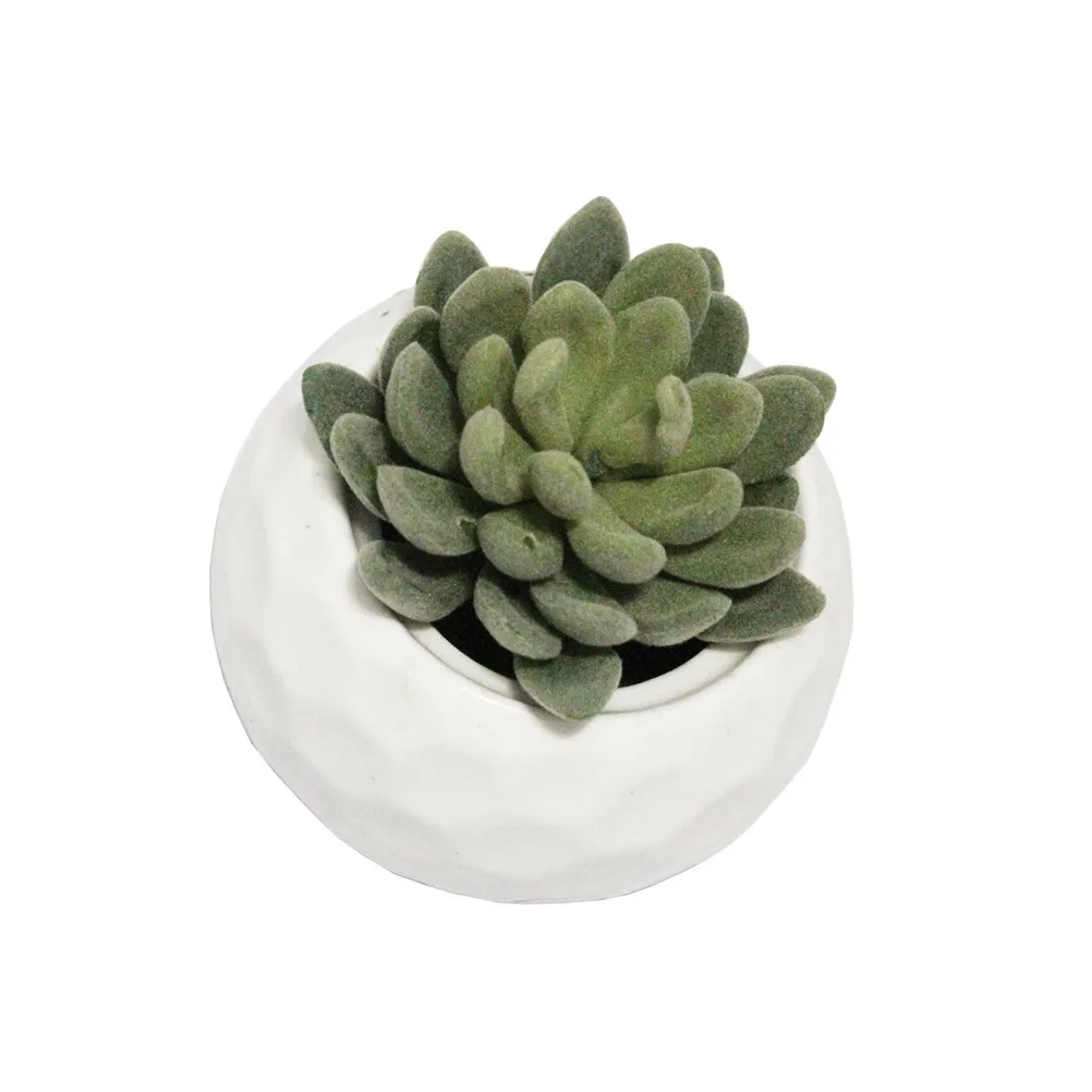 

Realistic Artificial Succulent Plants Unpotted Plastic Green Mini Cactus For Home Office Decor Gift Idea