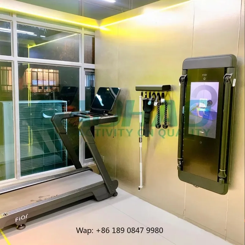 Home Gym Wall-mounted Smart Mirror Fitness Training Machine With APP Strength Training System Digital Weights Get You Ripped