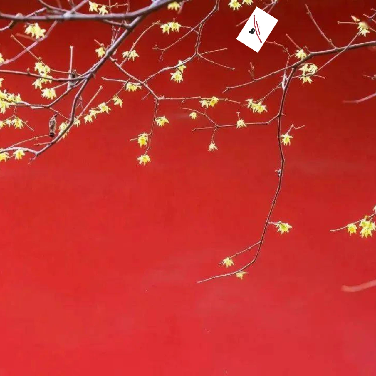 ก้านพวงมาลัยหน้าโลหะผสม GPM และเซอร์โวฮอร์น 7075 สำหรับ AXIAL 1/10 RBX10 AXI234020 AXI231026 - อะไหล่รถแข่งอัพเกรด