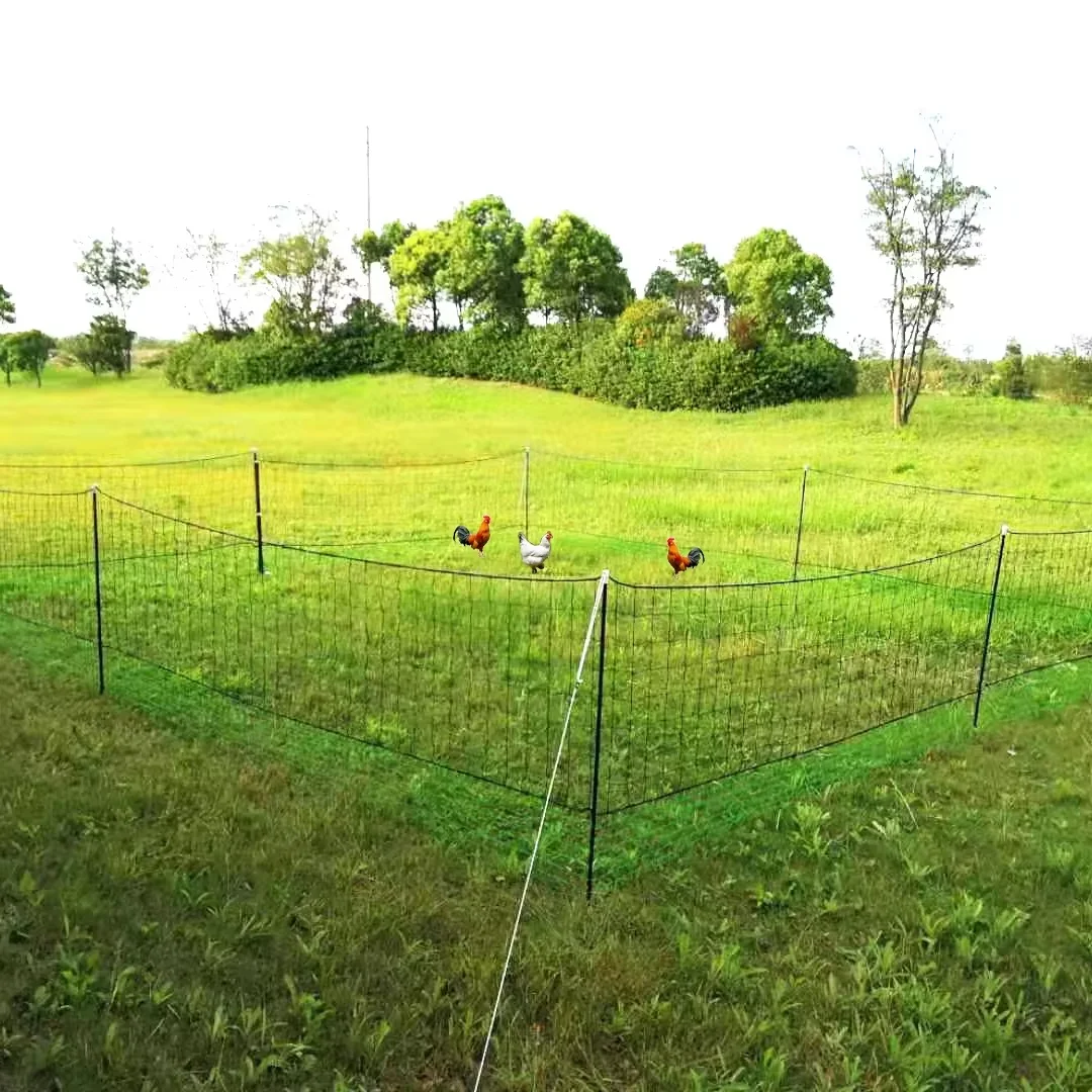 

Chicken Farming Plastic PE Wire Mesh Ducks Hens Cage Goose Coop Poultry Net with Fiberglass Post