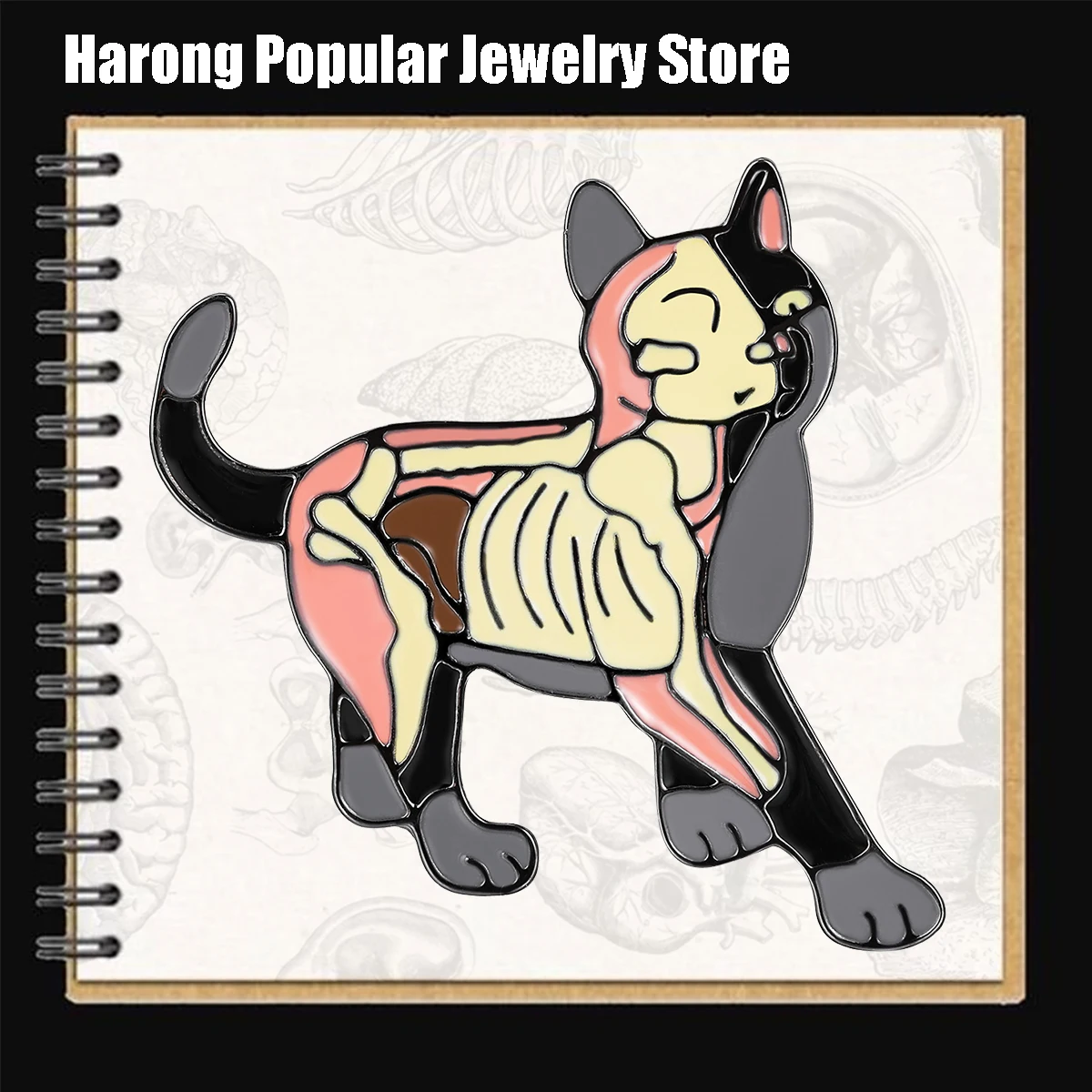 Harong Cat Enamel Pins Medical Anatomy Brooch Animal Hospital Badge Veterinarian Doctor Lapel Lanyard Bag Coat Accessories Gifts