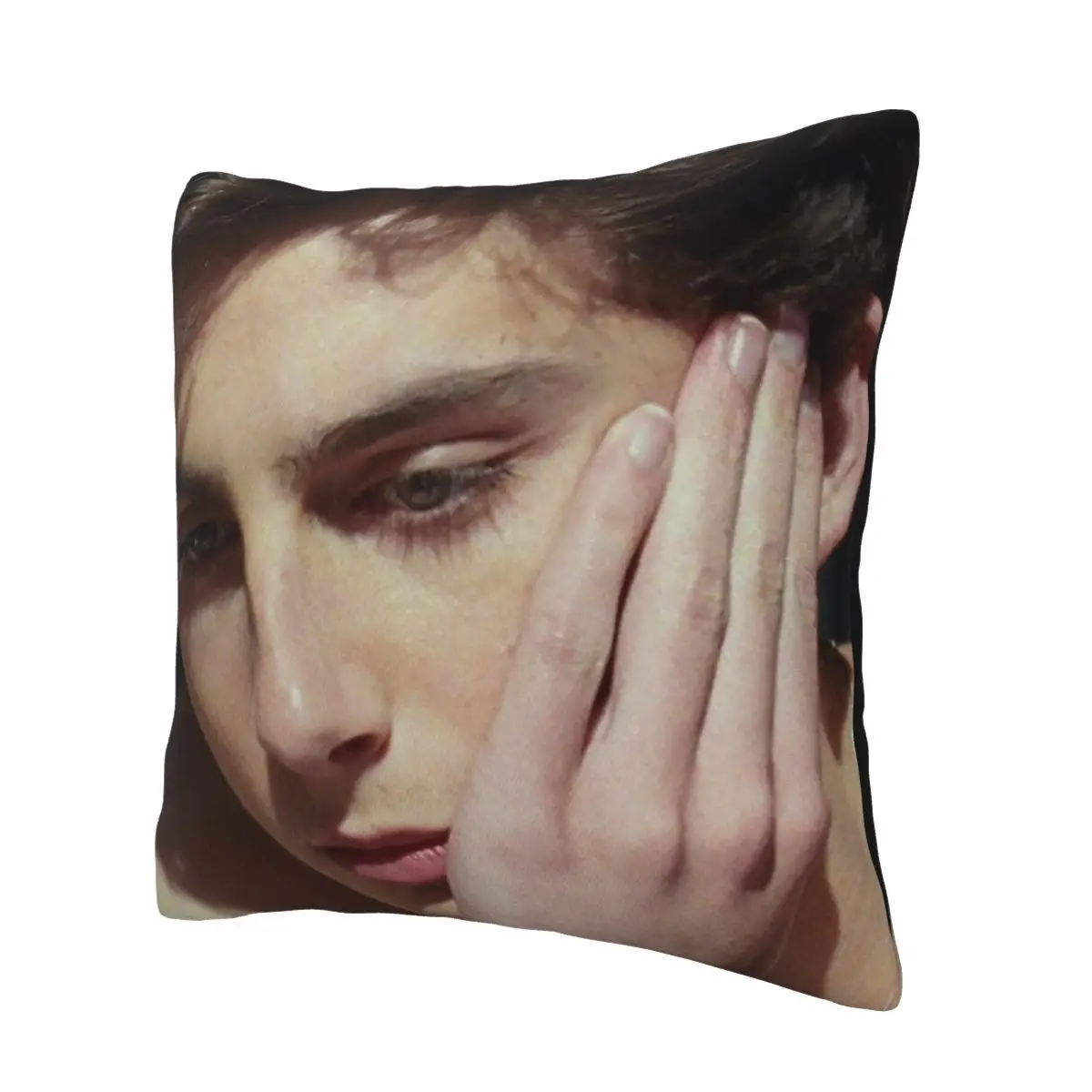 Timothee Chalamet timmy chalamet lgbt Soft Cushion Cover Gift Throw Pillow Case Cover for Seater Double-sided Printing