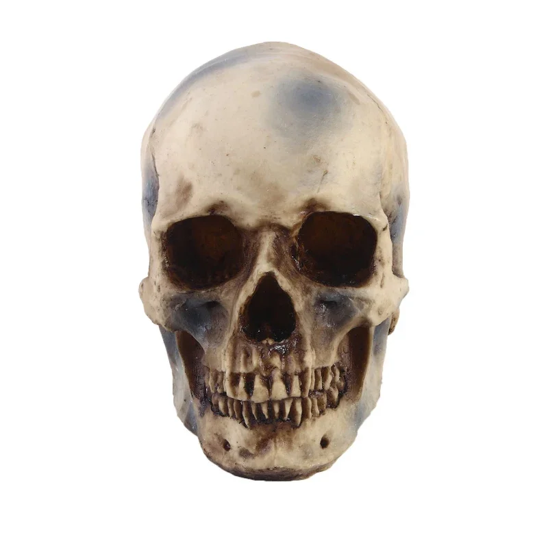 Statues Sculptures Resin Halloween Home Decor Decorative Craft Skull Size 1:1 Model Life Replica High Quality